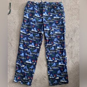 Men’s Hanna Andersson Polar Express Flannel Pajama Pants